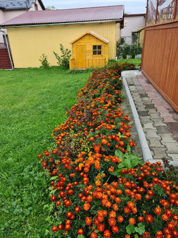 Rodzinny Apartament Na Kaszubach Brusy エクステリア 写真
