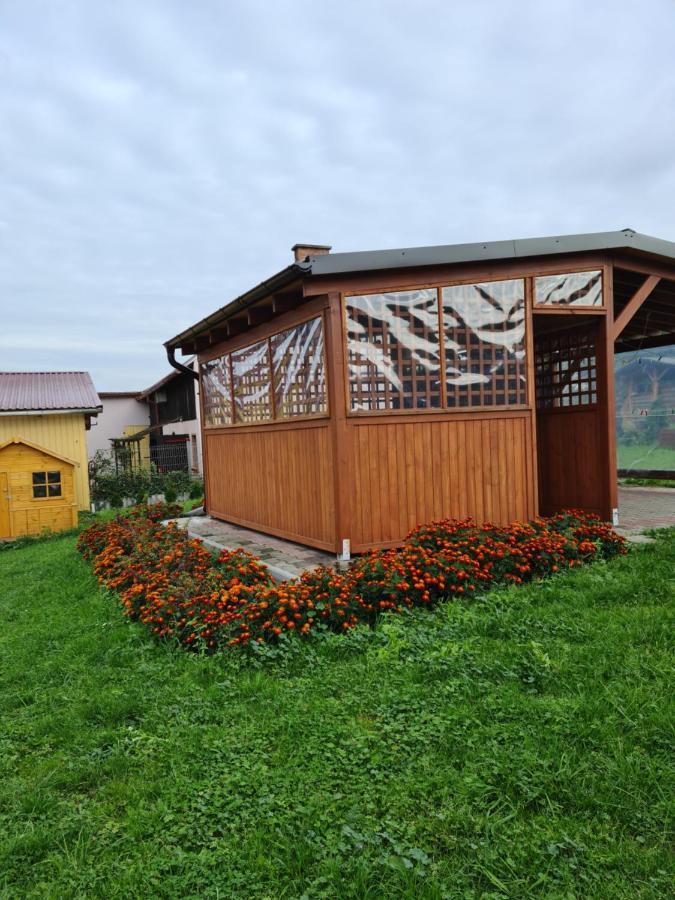Rodzinny Apartament Na Kaszubach Brusy エクステリア 写真
