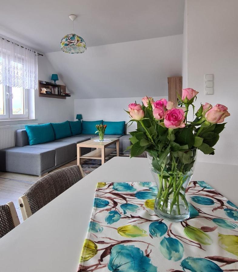 Rodzinny Apartament Na Kaszubach Brusy エクステリア 写真