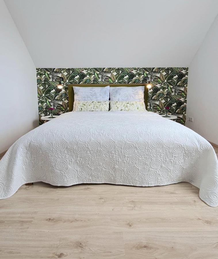 Rodzinny Apartament Na Kaszubach Brusy エクステリア 写真