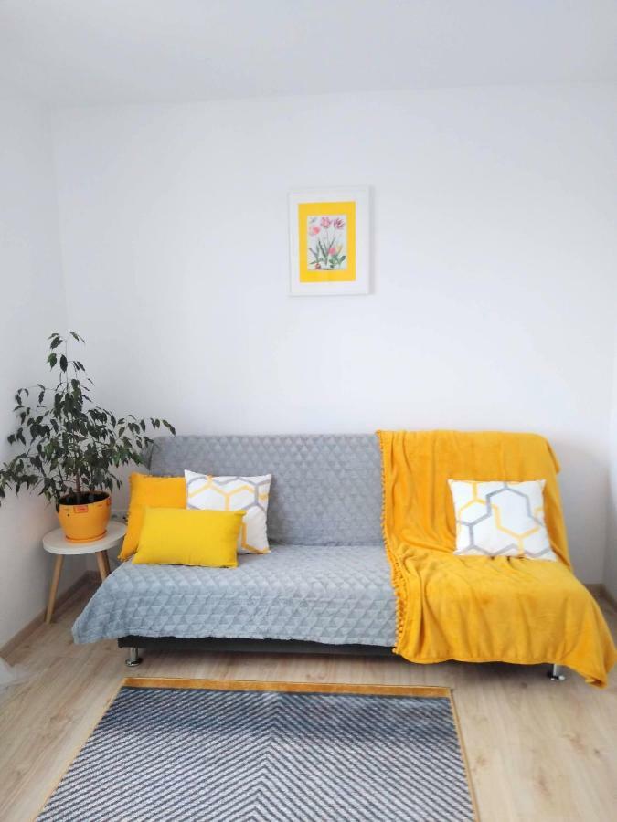 Rodzinny Apartament Na Kaszubach Brusy エクステリア 写真